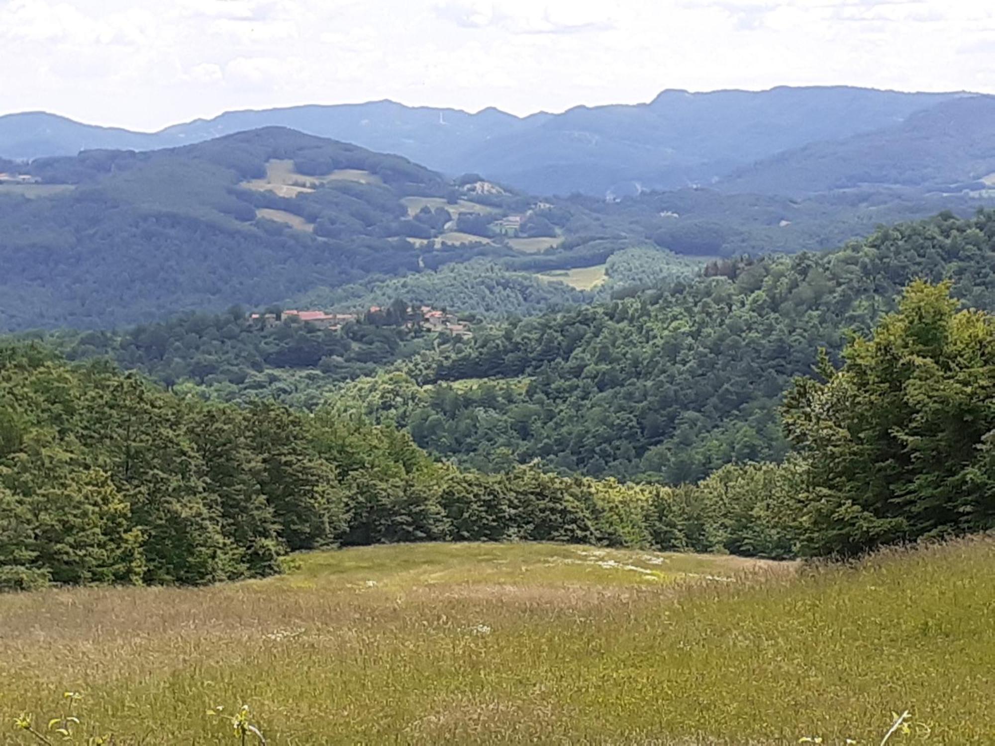 Fattoria Di Arsicci Villa Caprile  Eksteriør billede