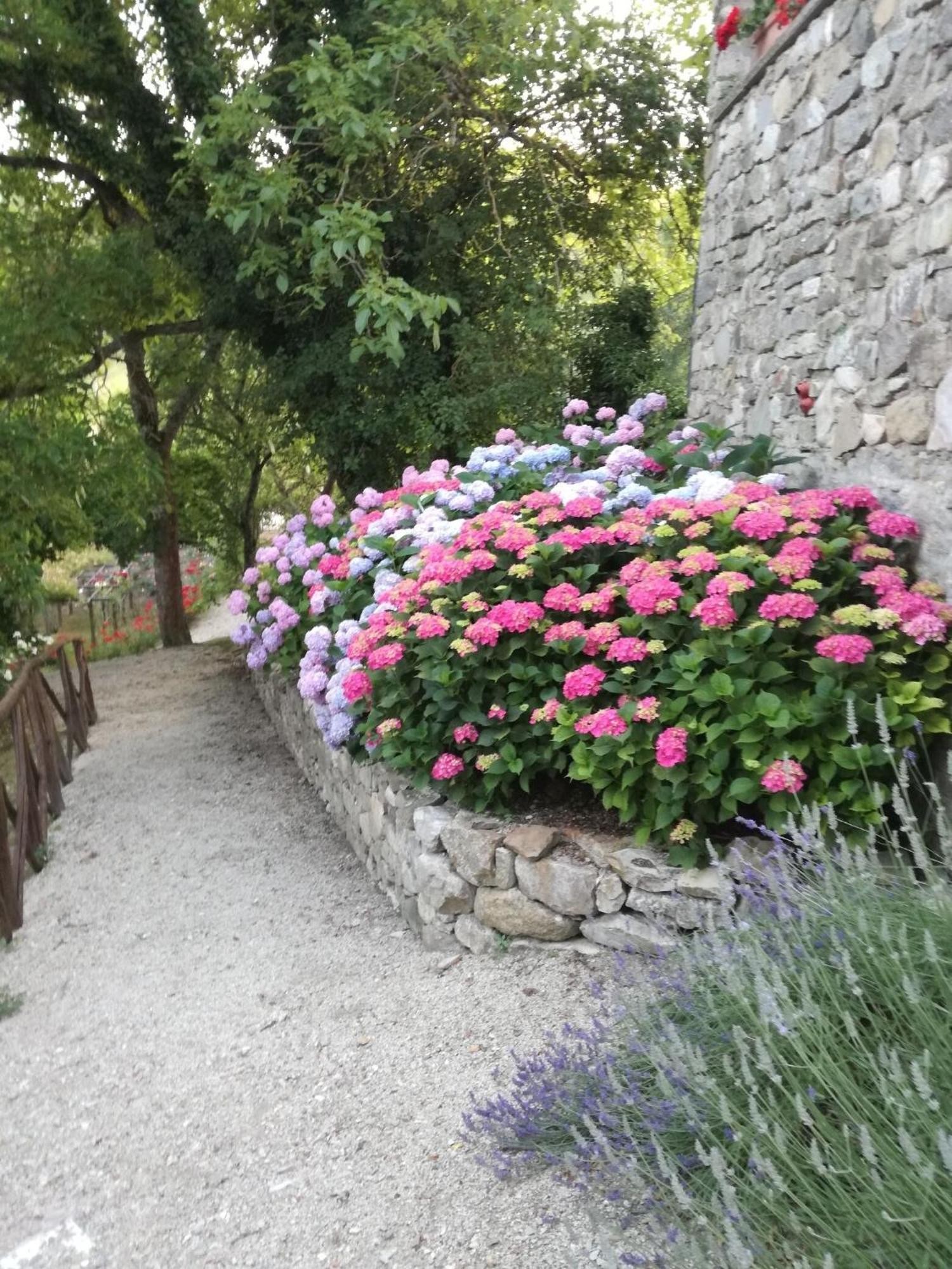 Fattoria Di Arsicci Villa Caprile  Eksteriør billede